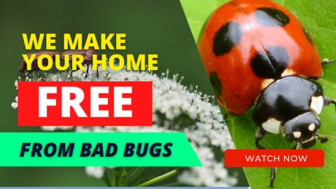 We Make Your Home FREE from Bad Bugs
