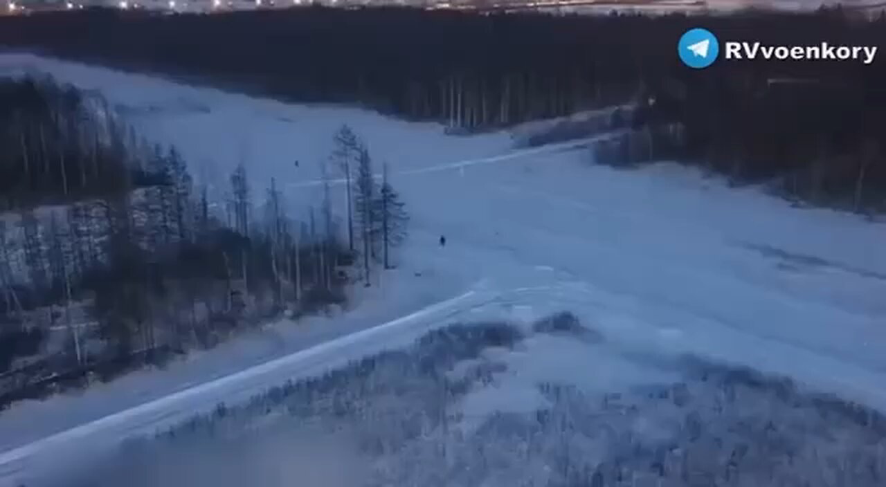 stopped in their tracks