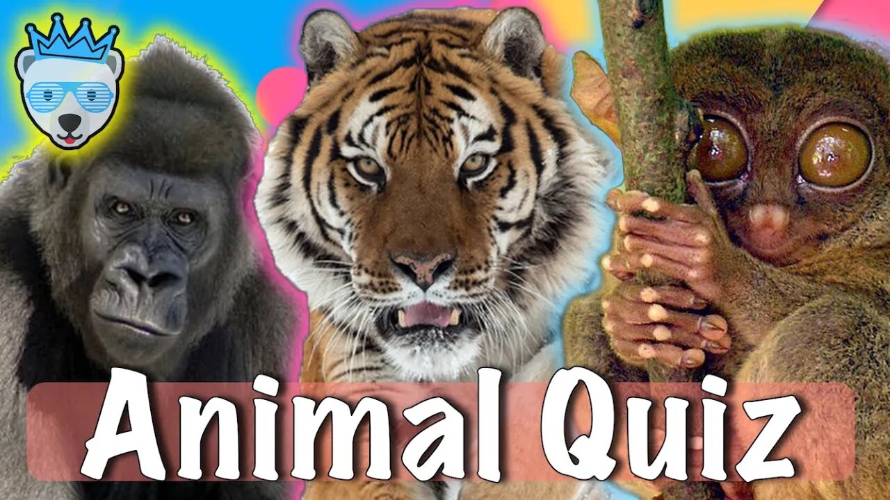 Ultimate Animal Quiz Challenge! 🐾 Test Your Knowledge! #AnimalQuiz #TriviaTime