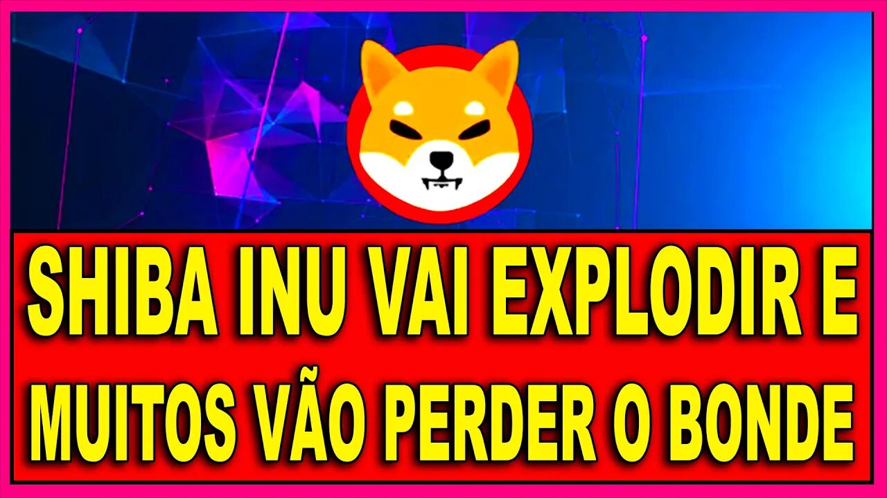 SHIBA INU VAI EXPLODIR E VOCÊ PODE PERDER O BONDE