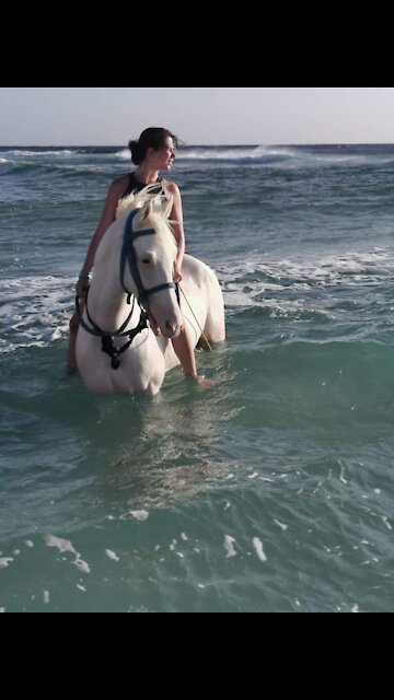 How beautiful horse riding in water😱