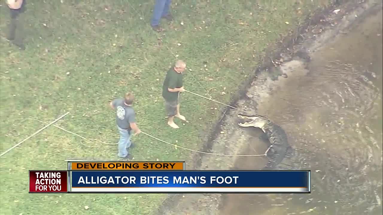 85-year-old man bitten by alligator at Lakeland retirement community