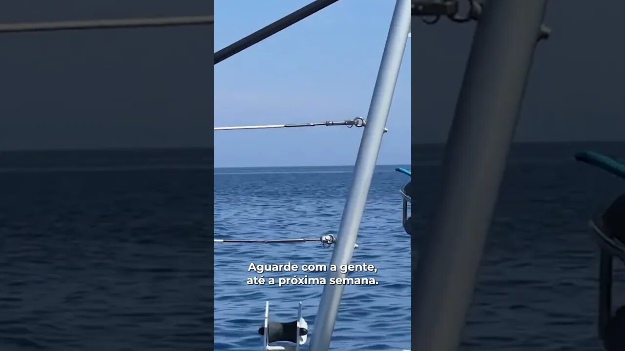 RUMO À PRÓXIMA AVENTURA - Sailing Around the World