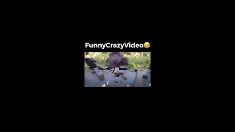 Mr FunnyCrazyVideo😂 Just Incredible Video Funny and Crazy #Like Follow for Follow 🥰