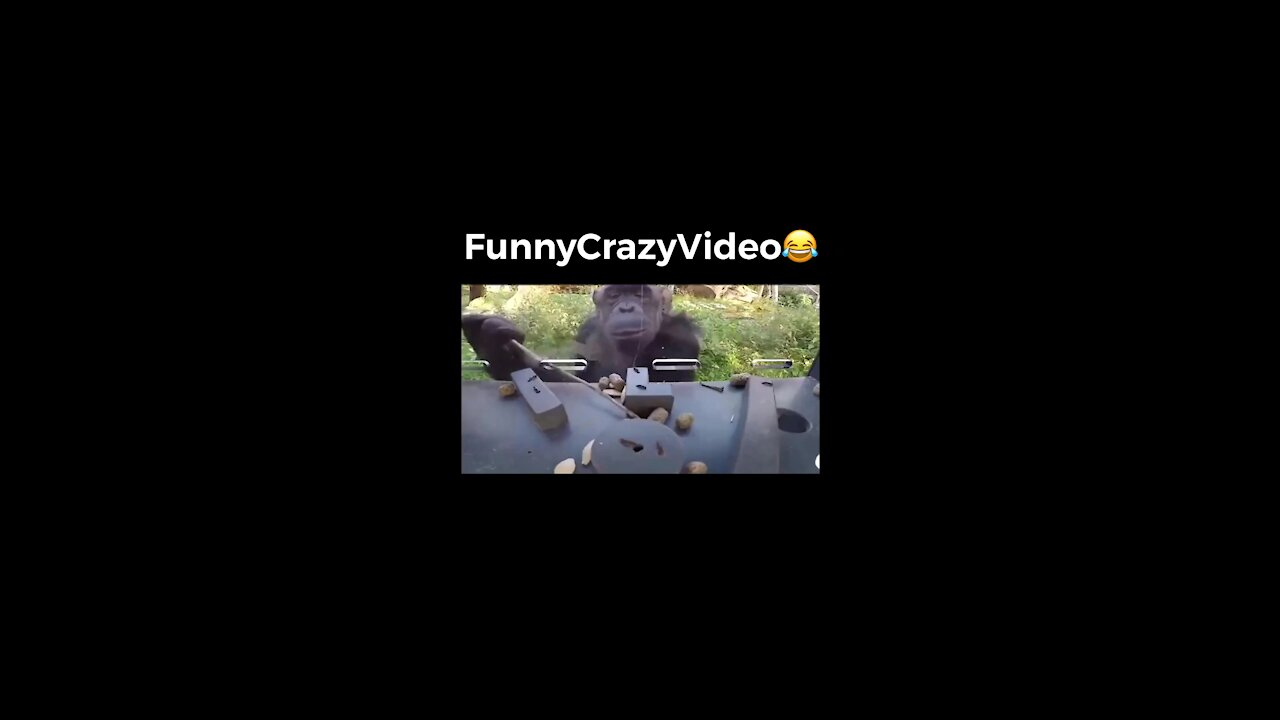 Mr FunnyCrazyVideo😂 Just Incredible Video Funny and Crazy #Like Follow for Follow 🥰