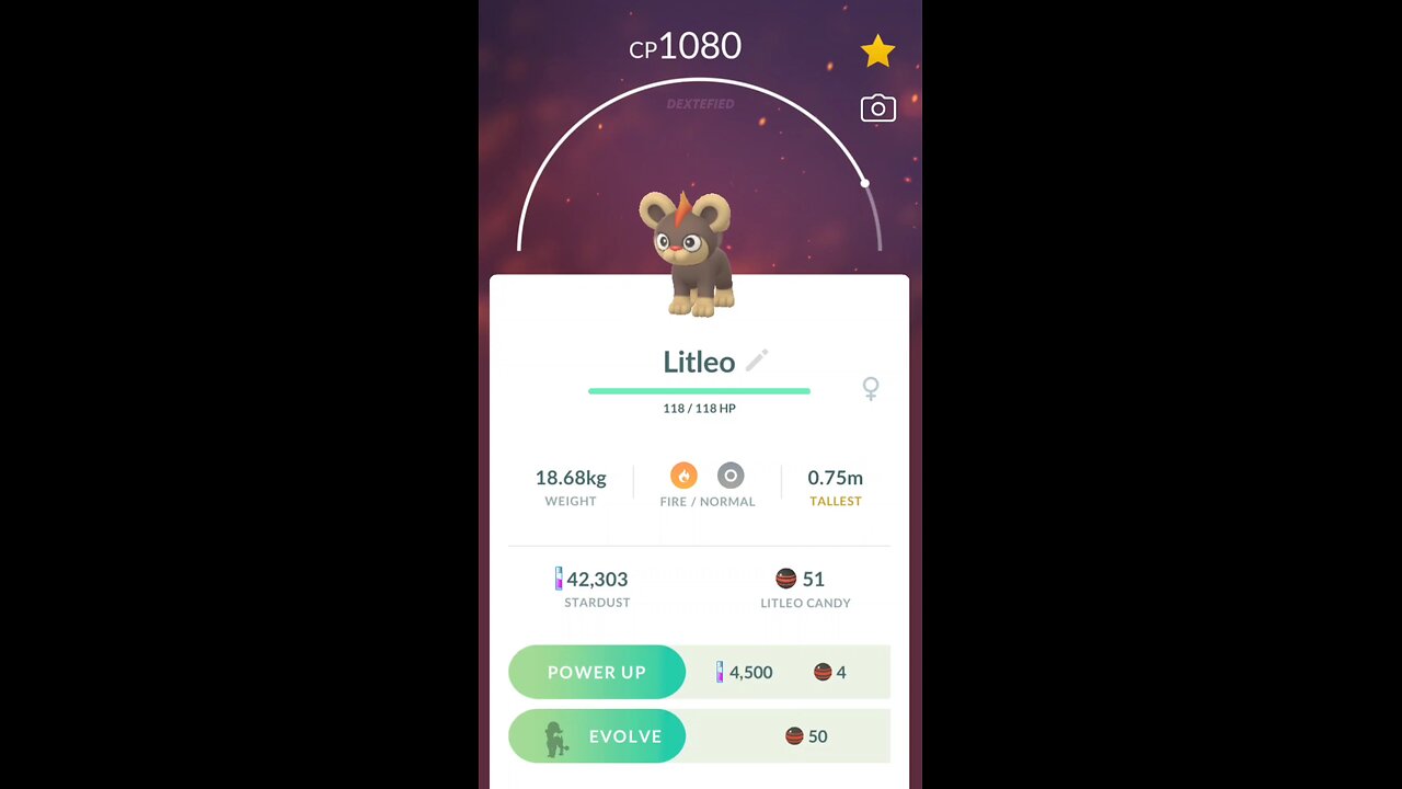 Litleo evolves into Pyroar in Pokemon GO #Pokemon #Pokemongo