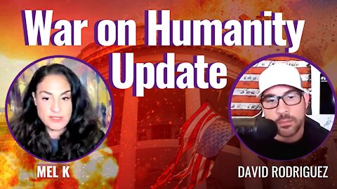 The Ongoing War For Humanity with Mel K . David Nino Rodriguez
