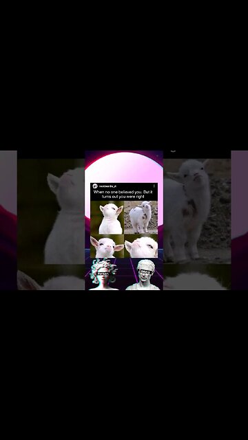 @neckbeardiadnd2245 ​ ​#meme Diaries #554 #shorts