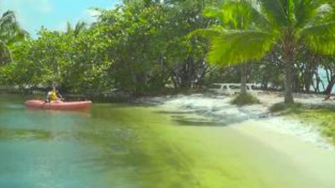 Kayaking in Biscayne Bay