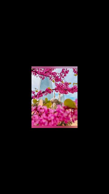 Азербайджан отменил коронавирусные ограничения