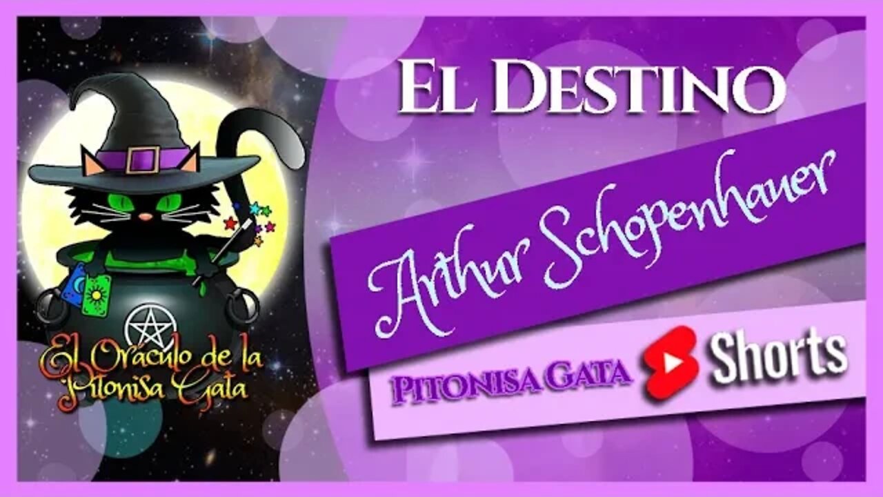 🌸EL DESTINO🌸Arthur Schopenhauer😺Pitonisa Gata SHORTS🧙♂️