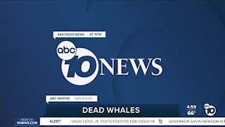 ABC 10News at 5pm Top Stories