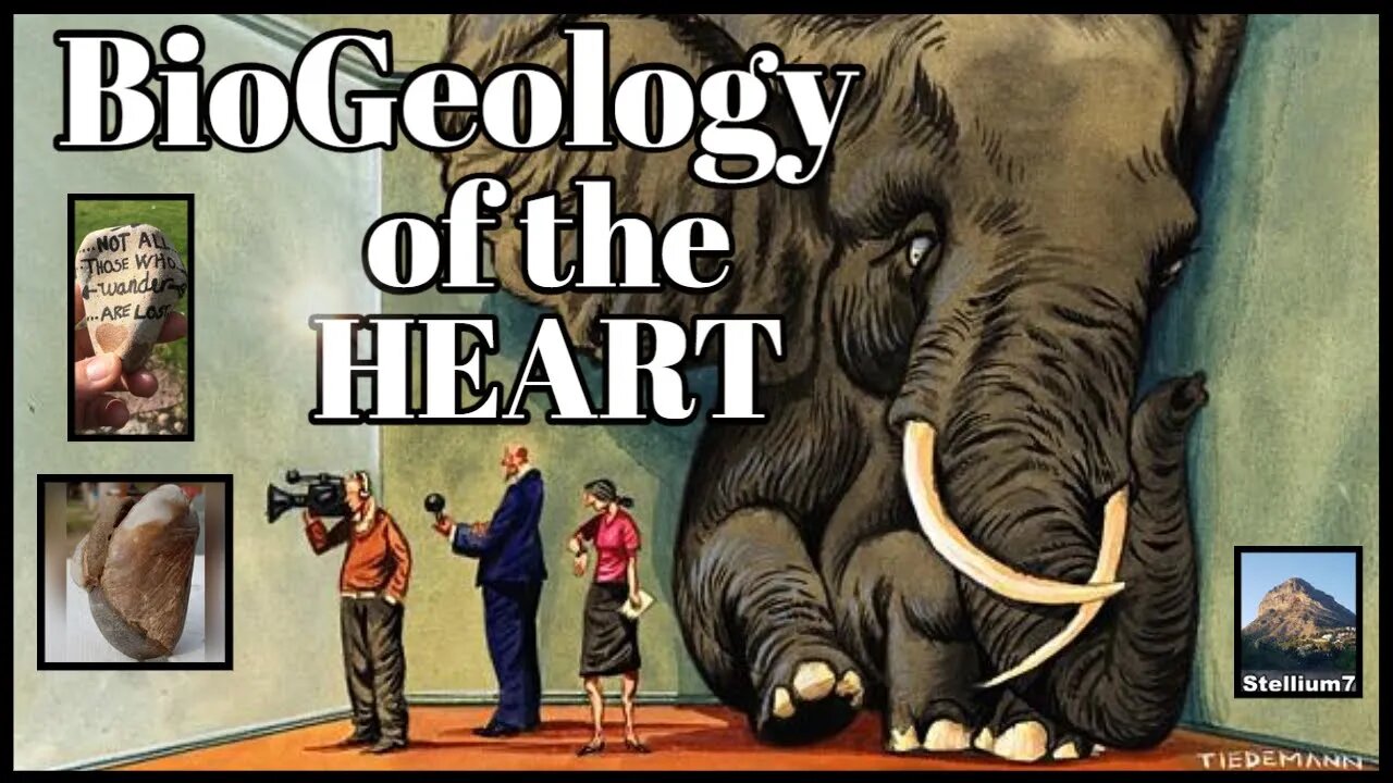 BIOGEOLOGY OF THE HEART - on The Collective Resistance Podcast, with Leo and Fabiola