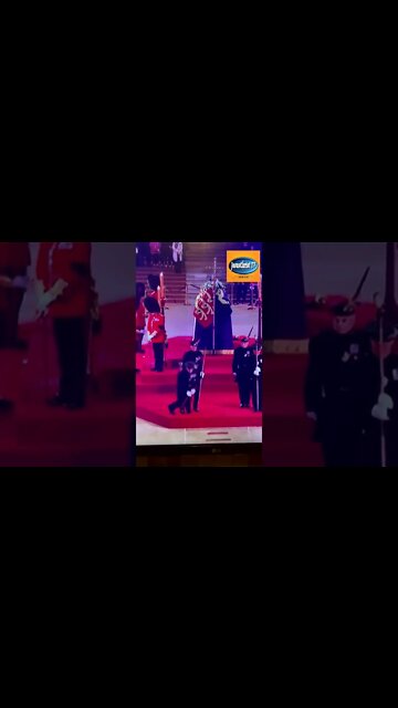 Angleterre! Un garde royal s'effondre en direct devant le cercueil de la reine Elisabeth