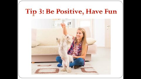 how to train dogs - 9 top tips on how to train your dog