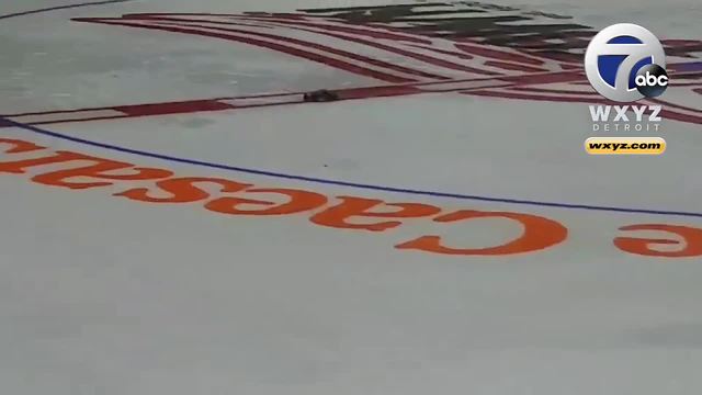 Watch the first octopi being thrown on the ice at Little Caesars Arena