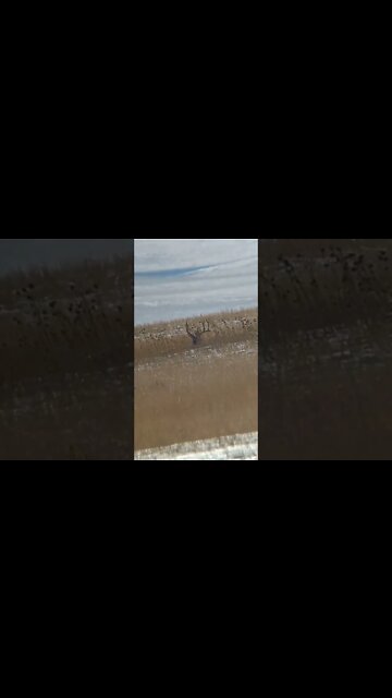 Give him another year or 2! #shorts