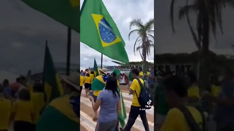 19 de novembro de 2022