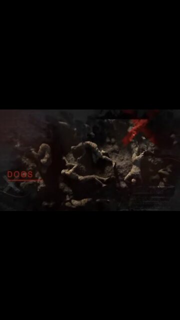 Sodomites Send Death Wishes to Pastor Anderson | #shorts