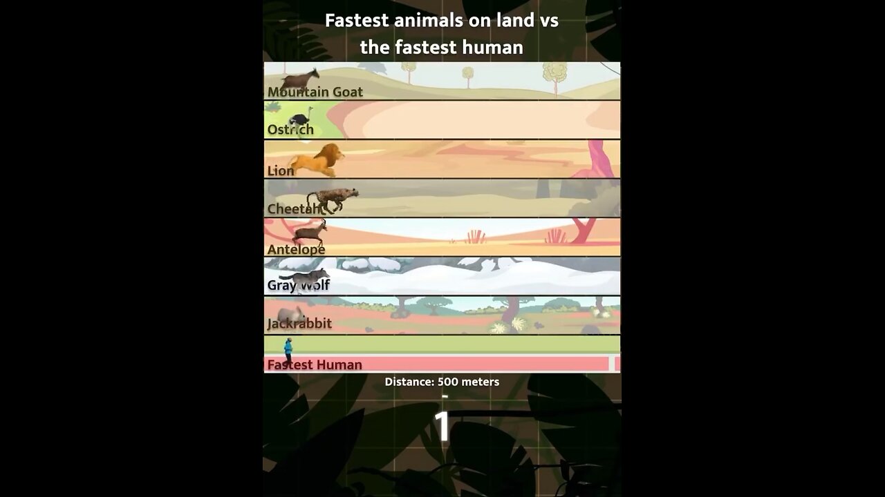 Fastest Animal vs Fastest Human