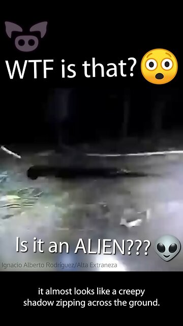 They Found Aliens in Their Farm 🚨👽