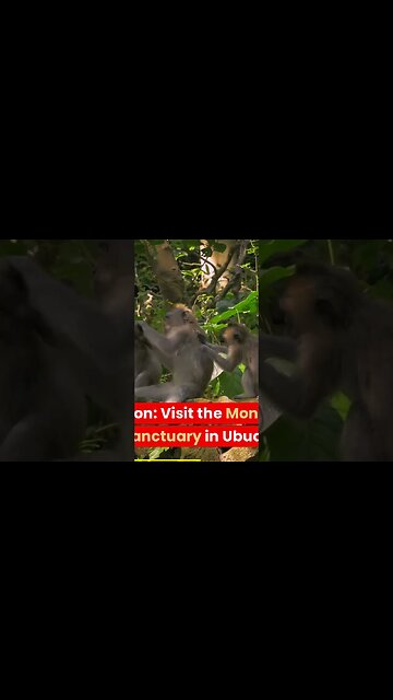 4 day trip to bali 1