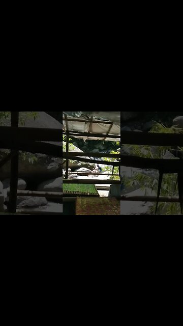 Bamboo House in the River #nasio #philippines #bamboohouse