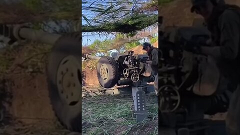 Ukrainian artillery #shorts