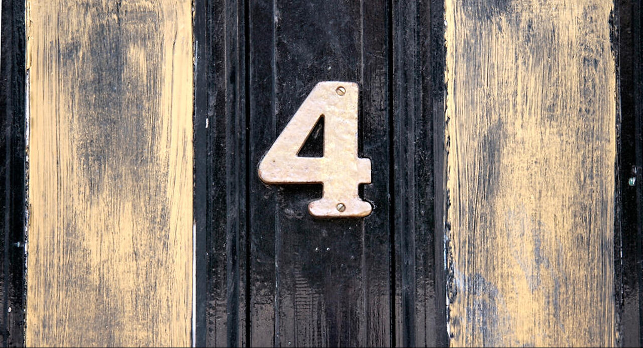 Day 4