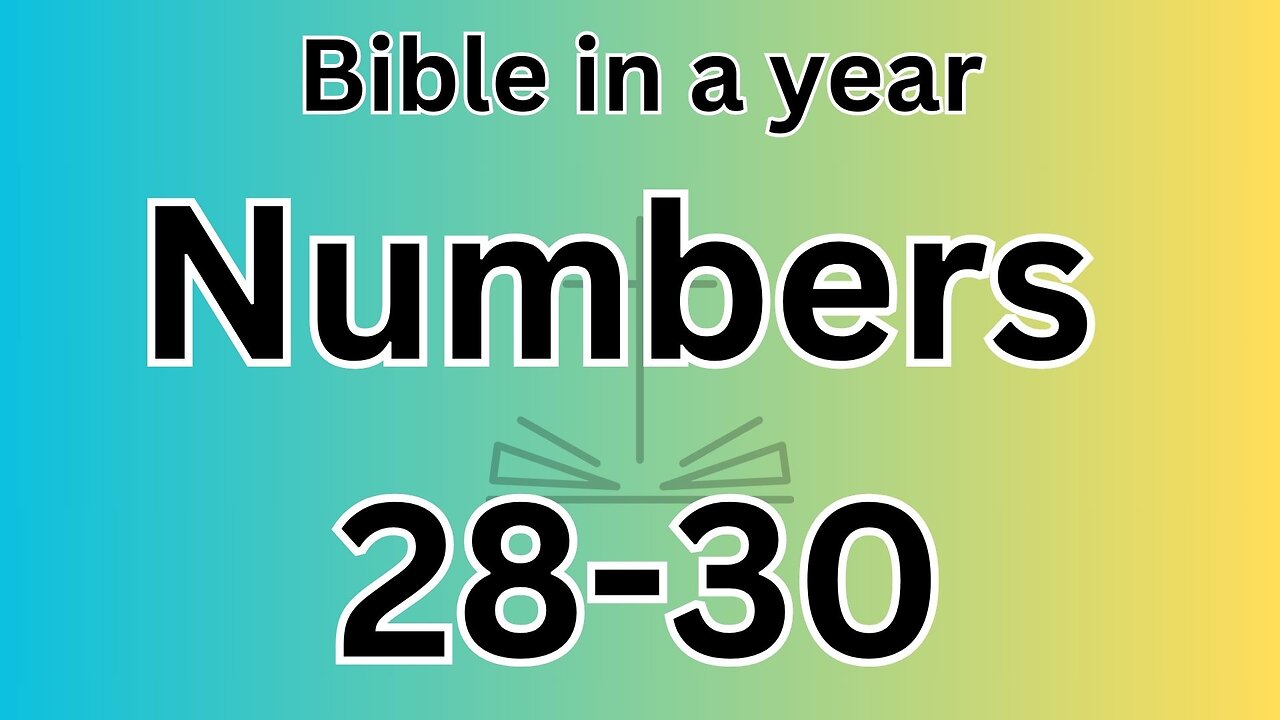 Numbers 28-30