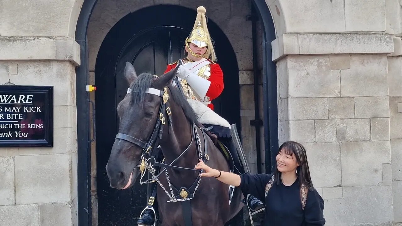 9 rein grabs in 12 minutes no one reads the sign #horseguardsparade