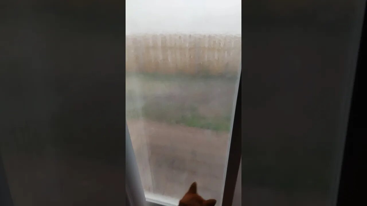 INSANE Hail Storm Kansas