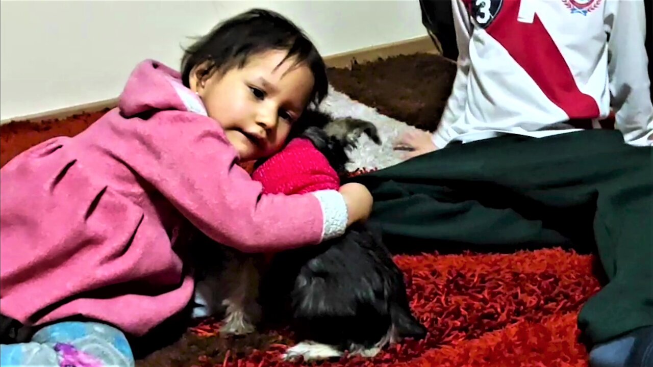 Young cancer survivor's reaction to new puppy is truly heartwarming