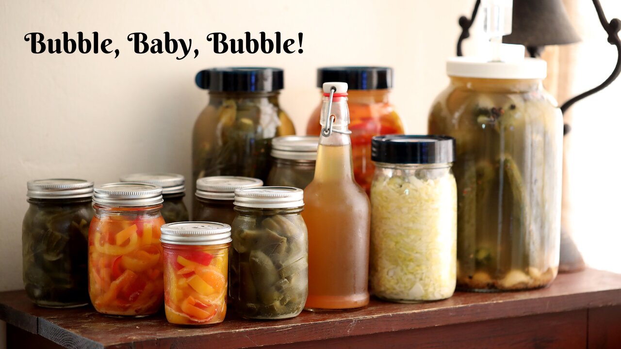 Fermenting Tips and Tricks | What I Fermented This Year!