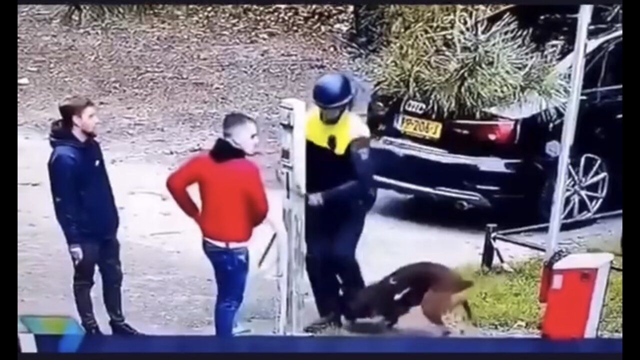 Dog disregards Police Officer's command.👮🏼‍♀️🤭😬