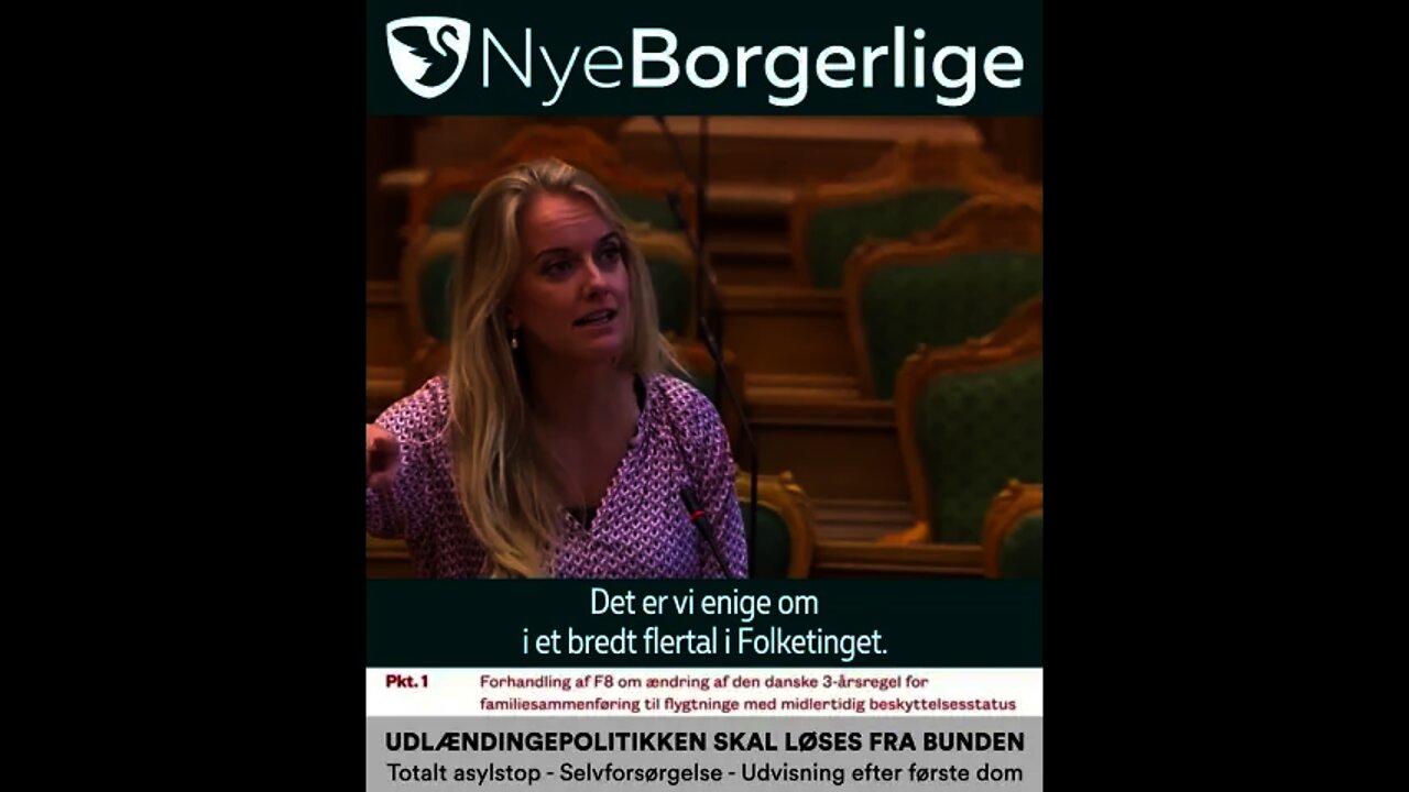 Pernille Vermund kom "uheldigvis" til at støde Jens Rohde med fædrelandskærlighed!