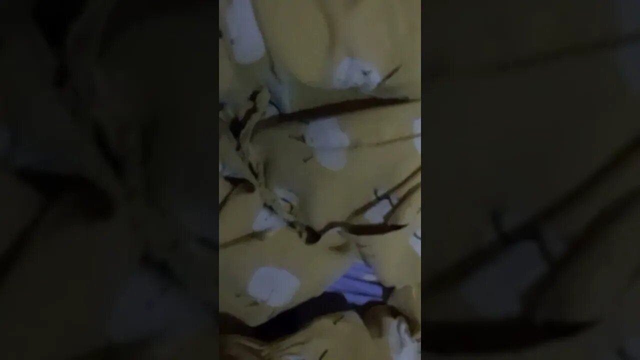 Belajar ngaji