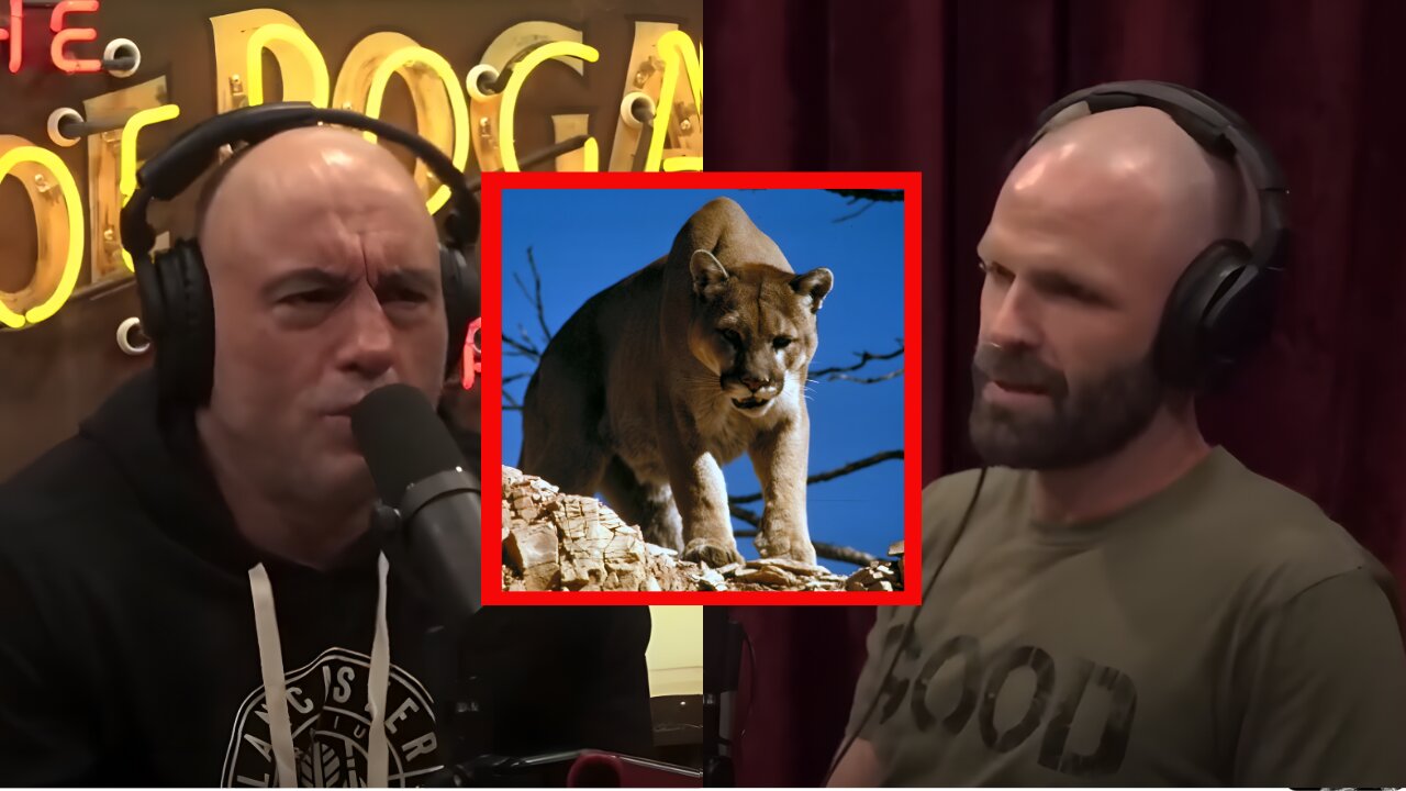 LA Serial Killer Lion Joe Rogan Experience