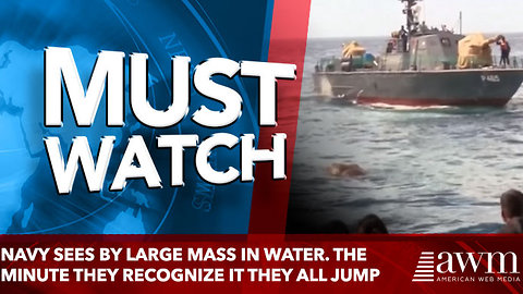 Navy sees By Large Mass In Water. The Minute They Recognize It They All Jump