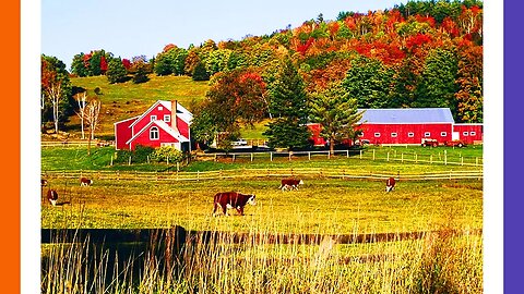 US Farmers Cut-Off of Water by Dummycrats 🟠⚪🟣 The NPC Show