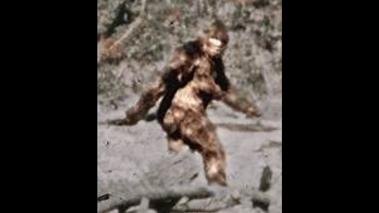 Navajo Nation Sasquatch Photograph Inquiry