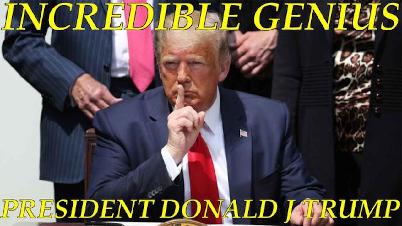 INCREDIBLE GENIUS PRESIDENT (DONALD J TRUMP)