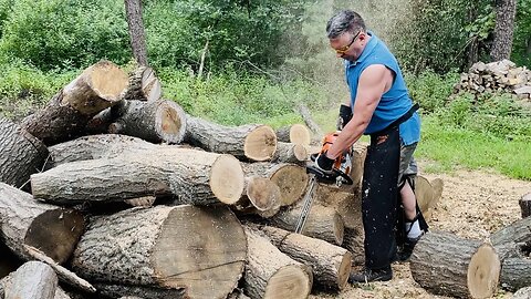 Firewood Dreams - We All Have Them
