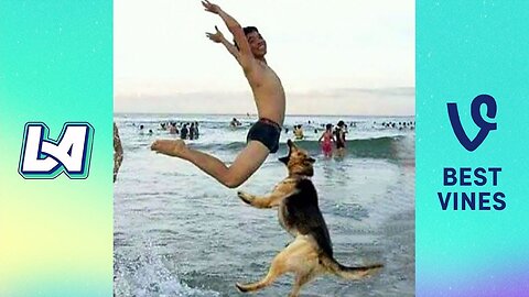 It's Unexpected That Fails Actions Make You Laugh All Day _ LIFE AWESOME