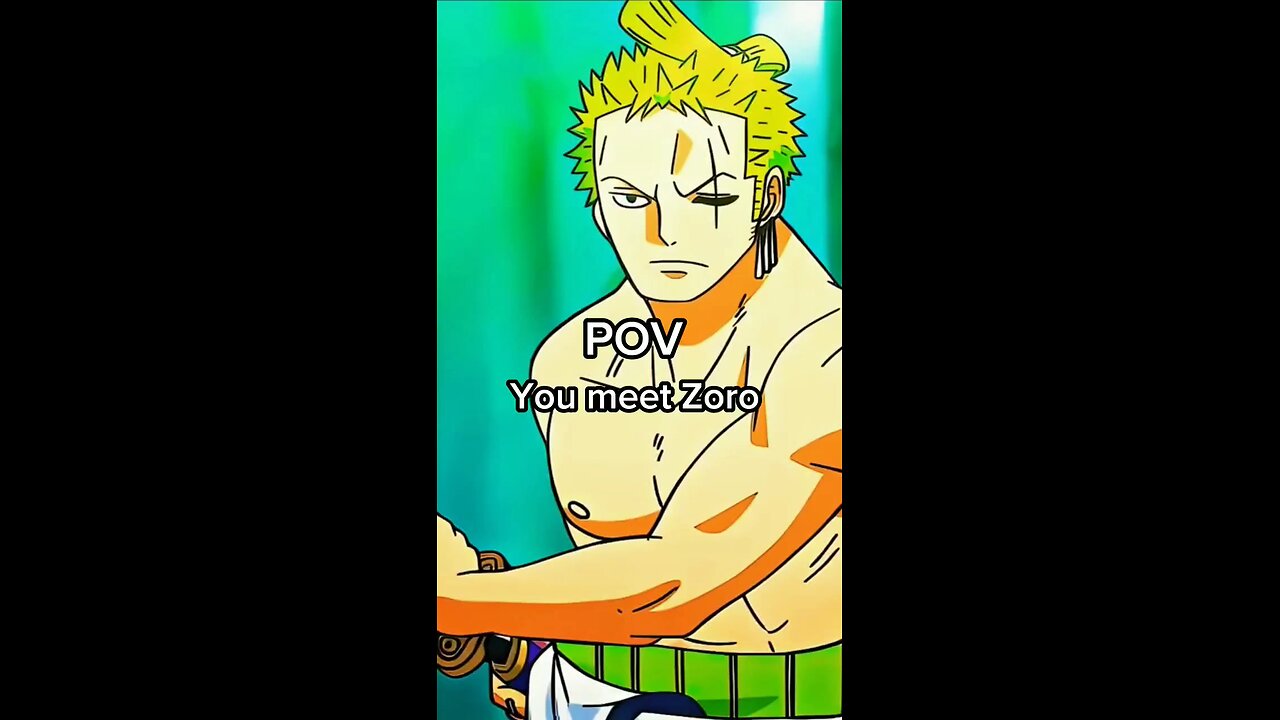 POV YOU MEET Zoro
