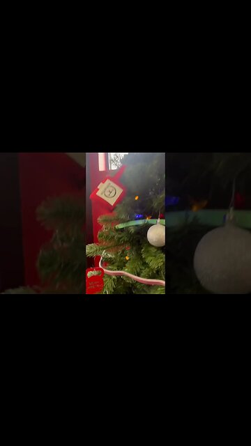 How Lifters Celebrate The Holidays 🎄🎁