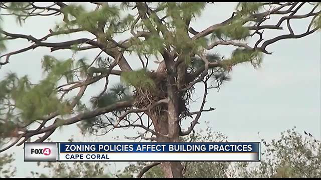 Eagle's nest costing home builders thousands