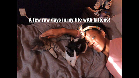 Day in my life with Kittens