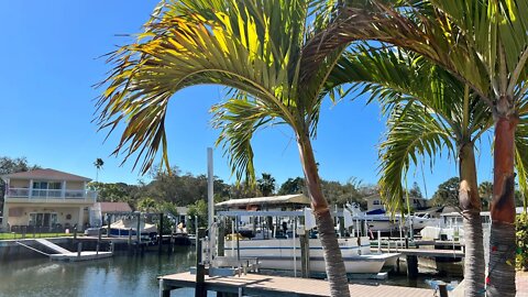 Livestream from Florida