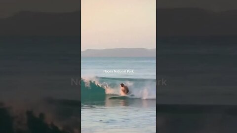 Amazing video of Noosa National Park captured by 📸: WhitePearlSunnies